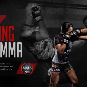 Instructor Striking para MMA