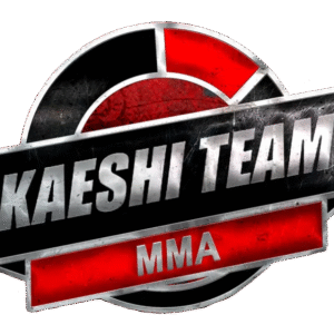 Sistema de niveles & Metodología sedes KAESHI TEAM